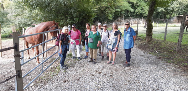 Un groupe de personne posent à côté d'un cheval.