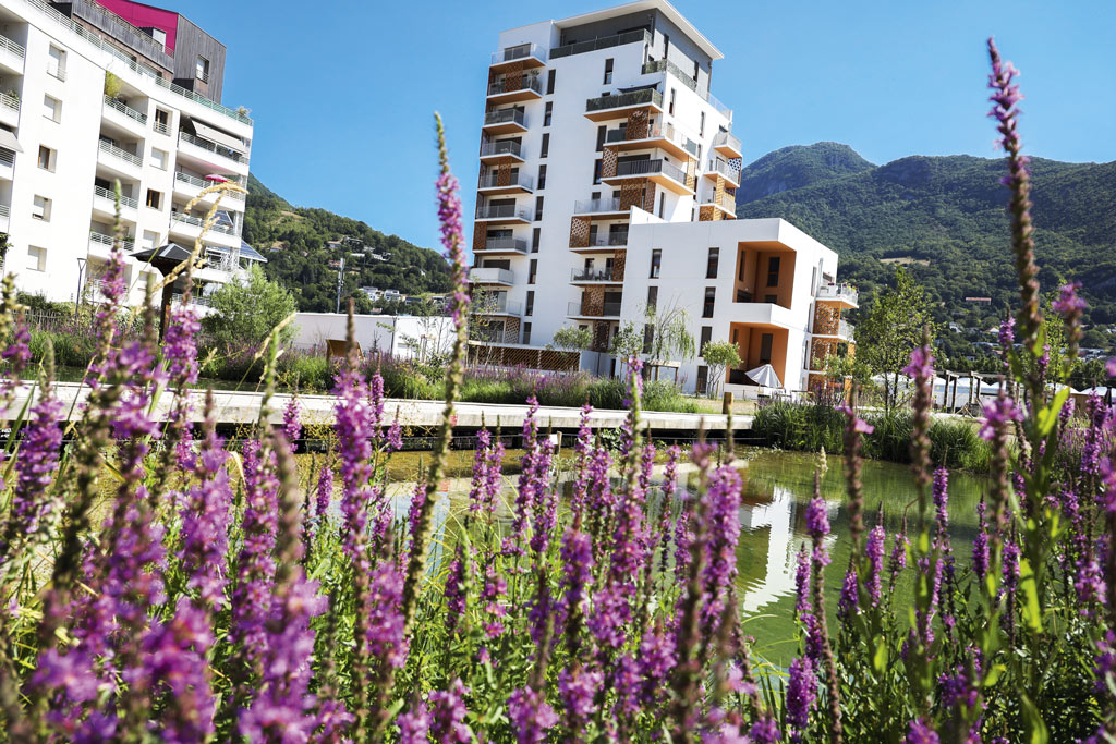 Le parc Berty Albrecht présente des plantes colorées.