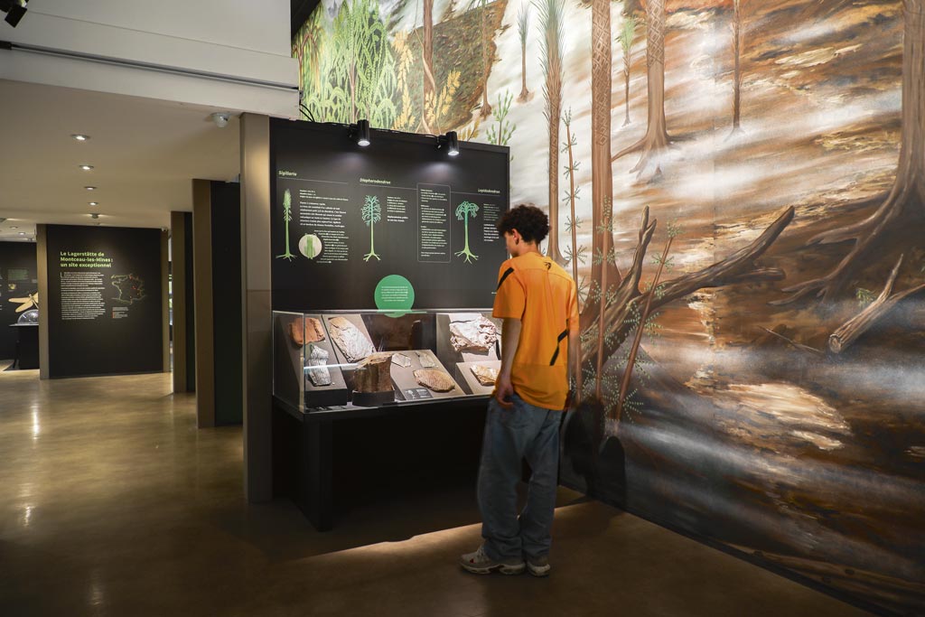 Un jeune homme découvre l'exposition Planète Carbonifère au Muséum.