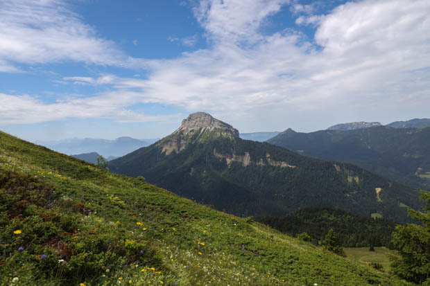 Vue sur la montagne de Chamechaude depuis la prairie de Pravouta