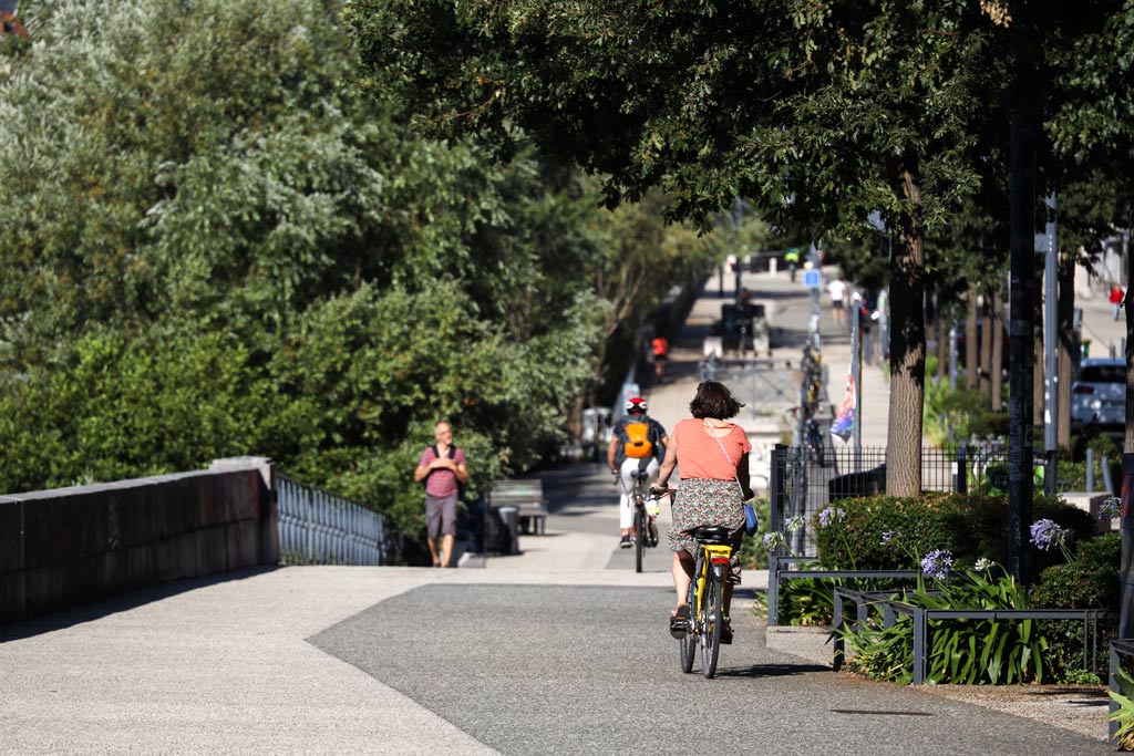 Des vélos circulent sur une piste cyclable.