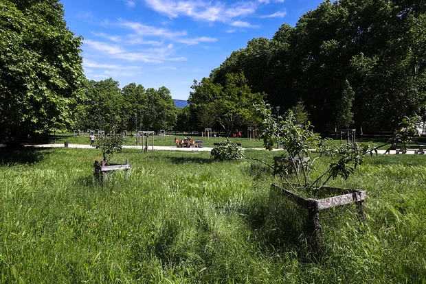 Gestion naturelle des espaces verts du parc Pompidou avec un fauchage raisonné.