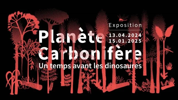 Exposition Planète Carbonifère. Un temps avant les dinosaures du 13 avril 2024 au 15 janvier 2025.. Au Muséum de Grenoble 