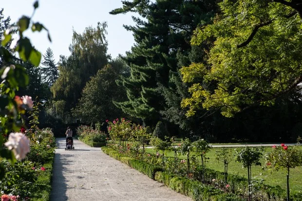 Allée du Jardin des plantes.