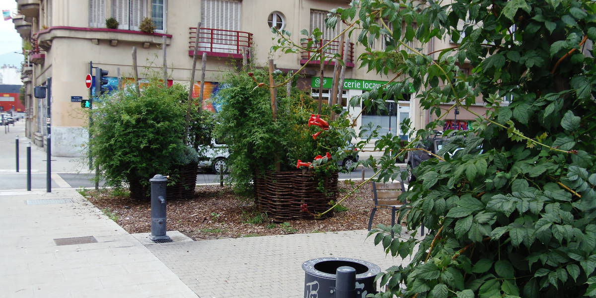 Bacs jardinières entretenus par les habitants dans le cadre de Jardinons nos rues)
