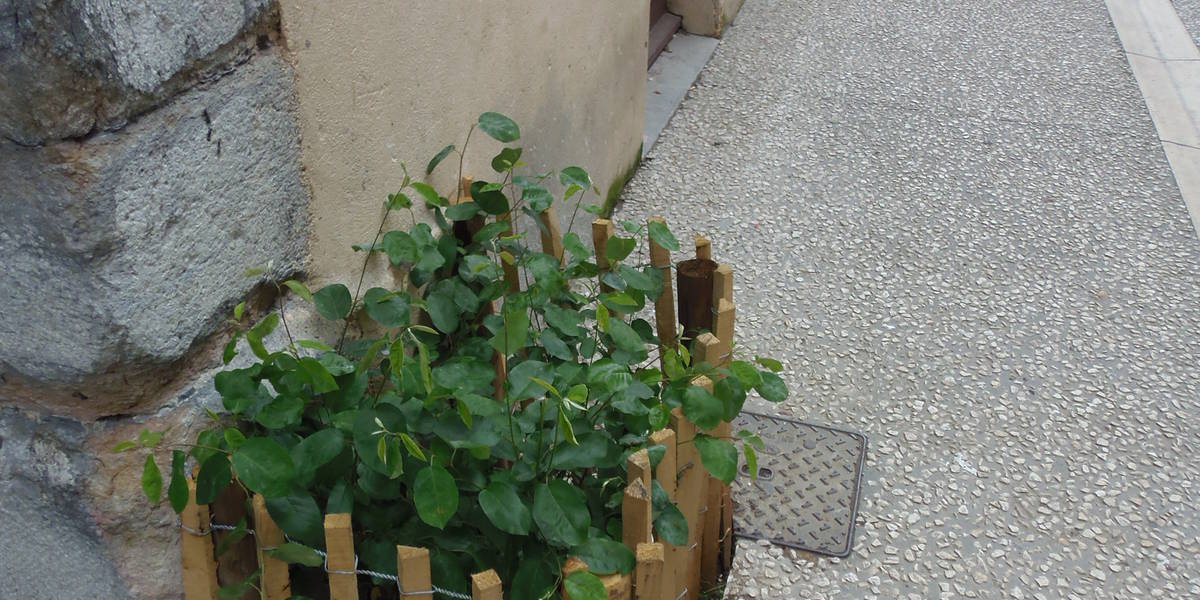 Fosse jardinage pleine terre 36 Rue St Laurent, mai 2016)